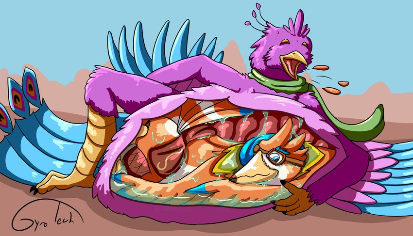 anthro avian_feet beak biped blue_body bodily_fluids burping clothing feathered_crest feathered_wings feathers green_eyes head_crest internal male organs pink_body scarf stomach stomach_acid tail tail_feathers winged_arms wings gyrotech nintendo the_legend_of_zelda gyro_feather nikko_(character) avian bird galliform peafowl phasianid rito absurd_res hi_res