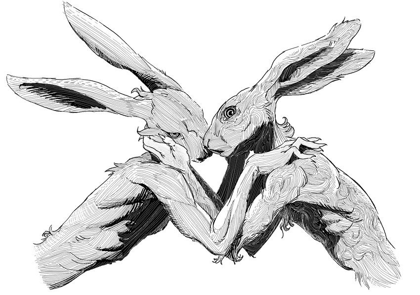 anthro duo fur hand_on_head hand_on_shoulder looking_at_viewer male male/male simple_background white_background scuotivento hare lagomorph leporid mammal rabbit black_and_white digital_media_(artwork) hi_res monochrome