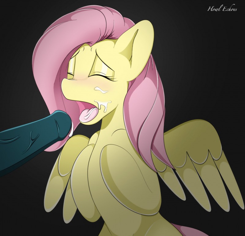 fluttershy (friendship is magic and etc) created by howl echoes and third-party edit