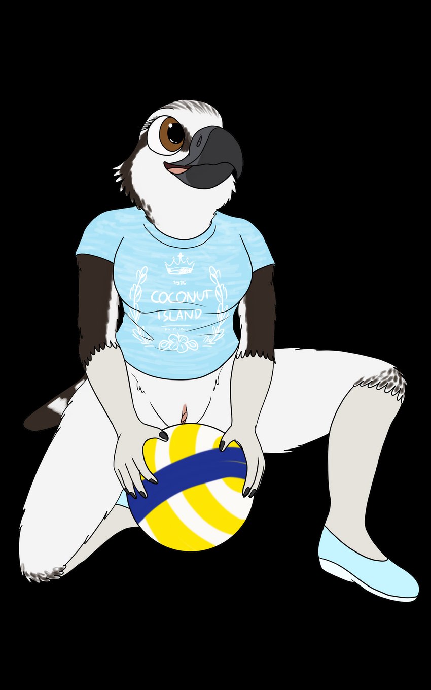 anthro ball beach_ball beak blue_clothing blue_footwear blue_shirt blue_shoes blue_t-shirt blue_topwear bottomless bottomless_female clitoral_hood clitoris clothed clothing crouching female footwear genitals inflatable print_clothing print_shirt print_t-shirt print_topwear pussy sandals shirt shoes solo t-shirt topwear fish_birb lizzy_(fish_birb) accipitriform avian bird osprey 5:8 absurd_res alpha_channel hi_res