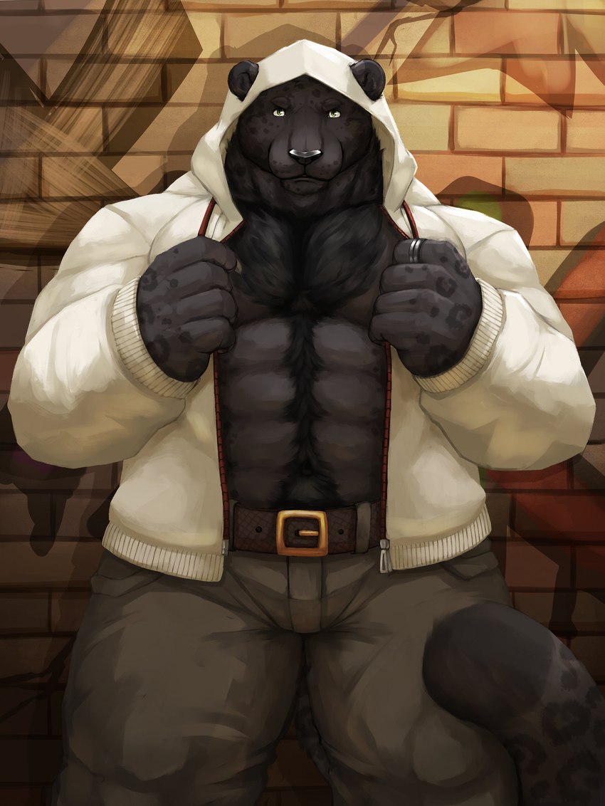 abs anthro belt big_muscles black_body black_fur black_hair black_nose bottomwear clothed clothing denim denim_bottomwear denim_clothing fur hair hoodie jacket jeans looking_at_viewer male melanistic muscular muscular_male open_clothing open_hoodie open_jacket open_topwear pants pecs ring_(jewelry) solo topwear cinna-tree felid feline mammal pantherine absurd_res hi_res