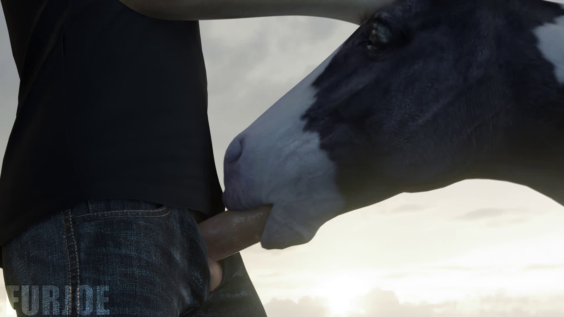 Horse e621