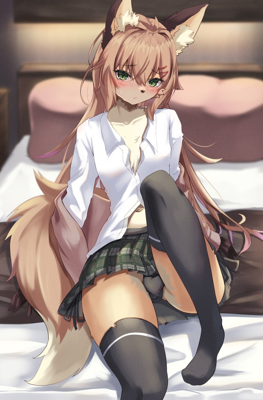 anthro bed bedroom blush bodily_fluids bottomwear brown_body brown_fur brown_hair brown_nose bulge chest_tuft clothed clothing collared_shirt crossdressing femboy footwear fur furniture gloves_(marking) green_eyes hair kemono legwear long_hair looking_at_viewer male male_anthro markings navel on_bed panties pillow school_uniform skirt socks solo sweat sweatdrop tan_body tan_fur thigh_highs tuft underwear uniform upskirt white_body white_fur an_chobi94 remu-kun canid canine fox mammal 2022 digital_media_(artwork) hi_res