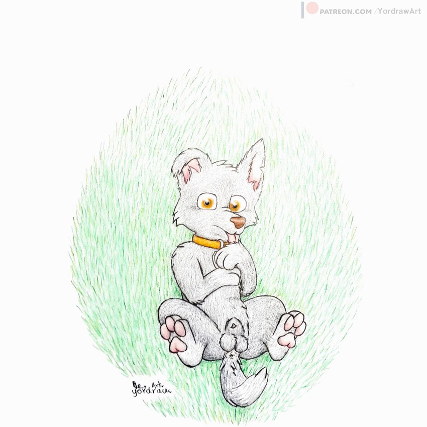 rocky (paw patrol) created by yordraw