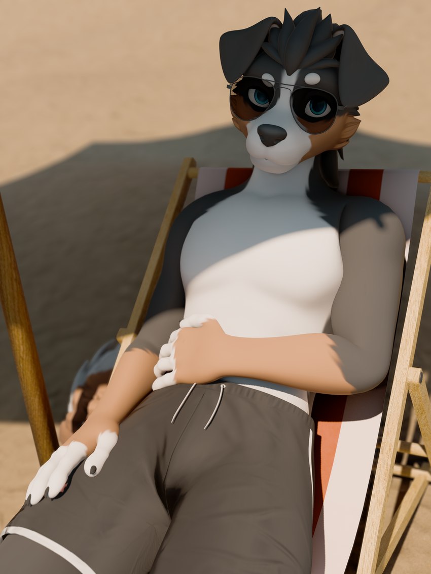 5_fingers anthro arm_across_belly beach beach_chair beach_umbrella biped black_body black_claws black_clothing black_ears black_fur black_hair black_nose blue_eyes brown_body brown_fur circle_eyebrows claws clothing dutch_angle eyebrows eyewear finger_claws fingerless_(marking) fingerless_gloves_(marking) fingers floppy_ears fur furniture gloves_(marking) hair hand_on_leg head_tilt light looking_at_viewer lying male markings multicolored_body multicolored_fur on_back outside parasol public raised_eyebrow sand shadow short_hair smile smiling_at_viewer smirk smirking_at_viewer snout solo sunglasses sunny swimming_trunks swimwear three-quarter_view vrchat_model white_body white_eyebrows white_fur winter_nights_(artist) winter_nights bernese_mountain_dog canid canine canis domestic_dog mammal molosser mountain_dog swiss_mountain_dog winterpaw_canine 3d_(artwork) absurd_res blender_(artwork) digital_media_(artwork) hi_res huge_filesize lighting