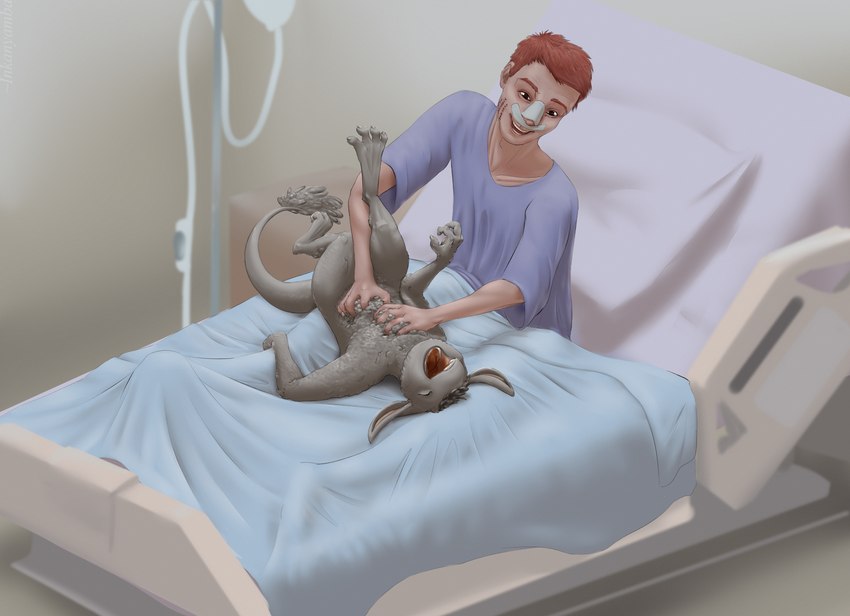 ambiguous_gender anthro bandage bandage_on_face bandage_on_nose bed detailed_background duo facial_scar fur furniture grey_body grey_fur hair happy hospital hospital_bed hospital_gown hospital_room larger_human laugh lying male on_back on_bed open_mouth red_hair scar sitting size_difference smaller_anthro smile surgical_suture tail tail_tuft tickling tickling_belly tuft inkanyamba_(artist) the_nature_of_predators marcel_(the_nature_of_predators) slanek_(the_nature_of_predators) alien human mammal venlil_(the_nature_of_predators) hi_res