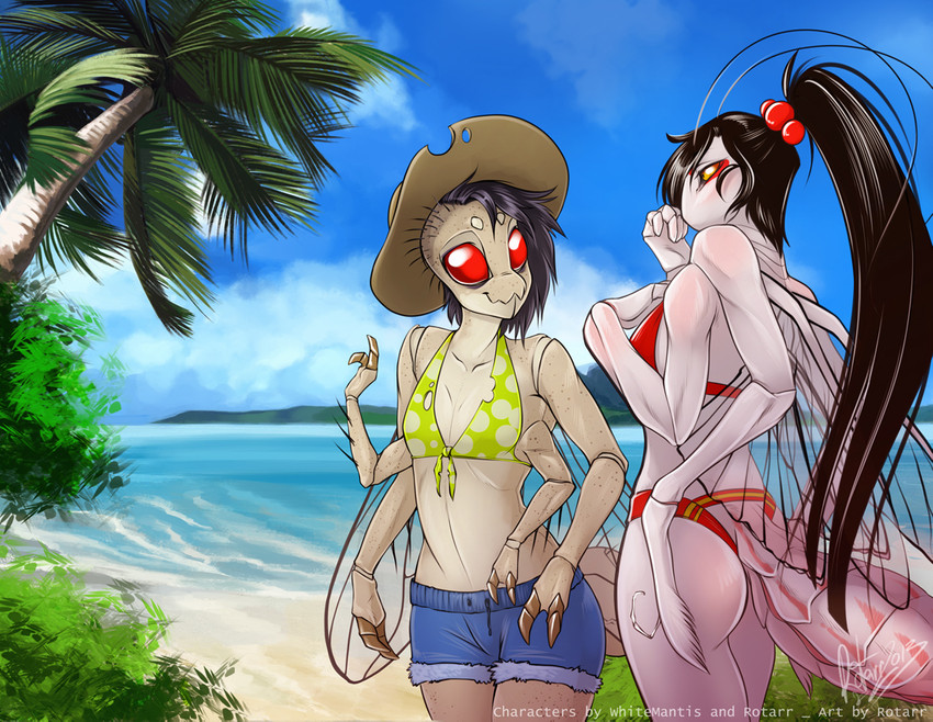 anthro arthropod_abdomen beach bikini black_hair bottomwear bra breast_size_difference breasts butt clothed clothing day duo female hair hat headgear headwear hotpants insect_wings long_hair non-mammal_breasts outside palm_tree plant ponytail red_eyes sand sea seaside shorts skimpy small_breasts smile standing sun_hat swimwear tree two-piece_swimsuit underwear water wings rotarr nae rotarr_(character) arthropod fly_(animal) housefly insect mantis