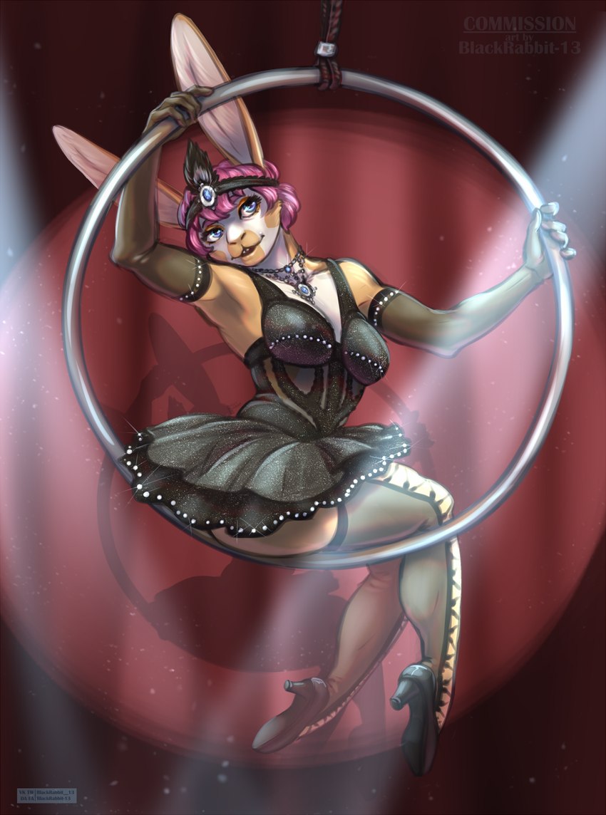 anthro blue_eyes burlesque clothing dress female fur gymnast gymnastics hair jewelry legwear multicolored_body multicolored_fur pink_hair pose smile smiling_at_viewer soffits solo stockings trapeze two_tone_body two_tone_fur blackrabbit-13 conditional_dnp lagomorph leporid mammal rabbit hi_res pinup