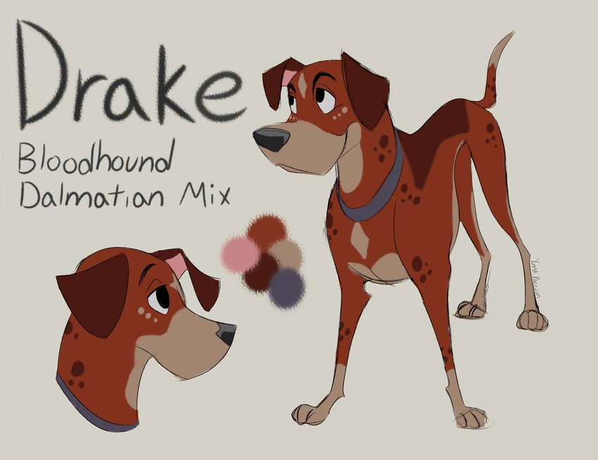 brown_body brown_ears brown_fur feral fur male markings solo spots spotted_body spotted_fur yumasartcorner 101_dalmatians disney drake_(yumasartcorner) bloodhound canid canine canis dalmatian domestic_dog hunting_dog mammal mixed_breed scent_hound colored colored_sketch hi_res model_sheet signature sketch