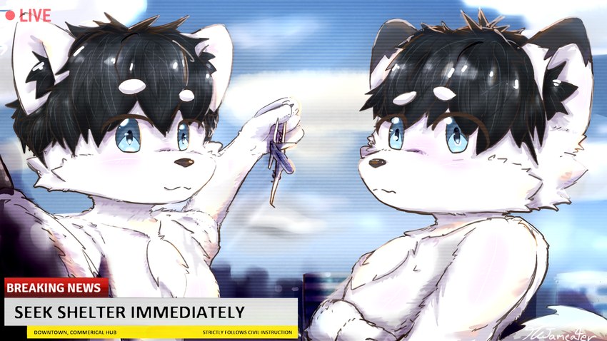 aircraft airplane anthro black_hair blue_eyes city cloud duo fur hair kemono looking_at_viewer macro male male/male news news_report outside size_difference sky smile text vehicle white_body white_fur thejameater sakai_the_inu sakijin canid canine canis domestic_dog hokkaido_dog mammal spitz 16:9 4k absurd_res english_text hi_res widescreen brother_(lore) brothers_(lore) sibling_(lore)