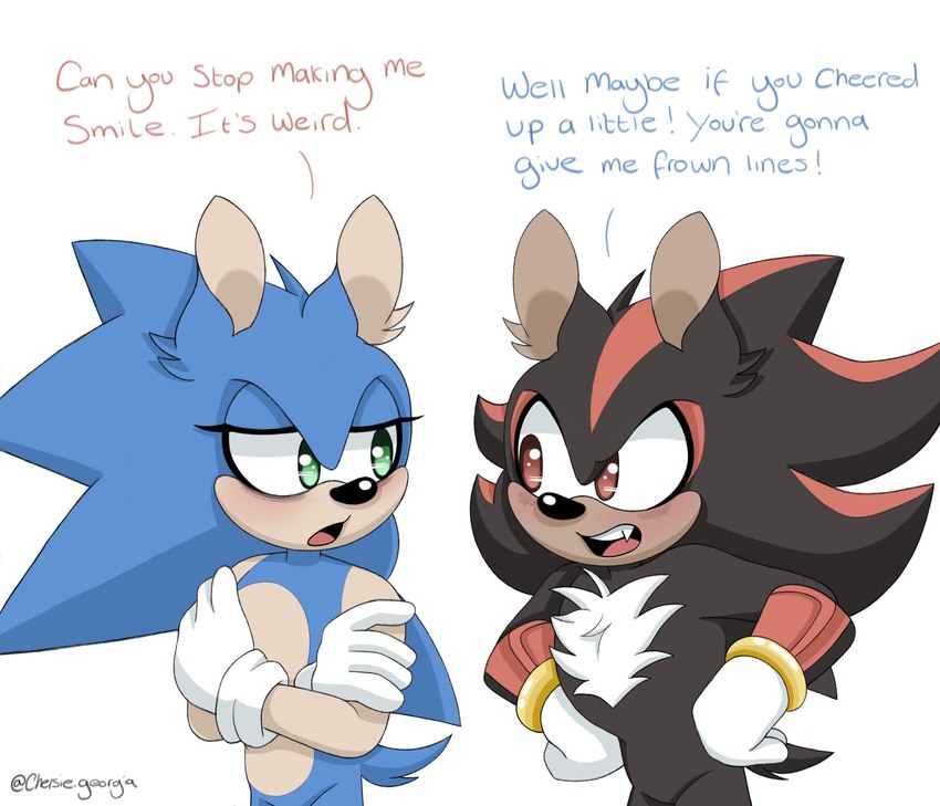 shadow the hedgehog and sonic the hedgehog (sonic the hedgehog (series) and etc) created by chelsiegeorgia