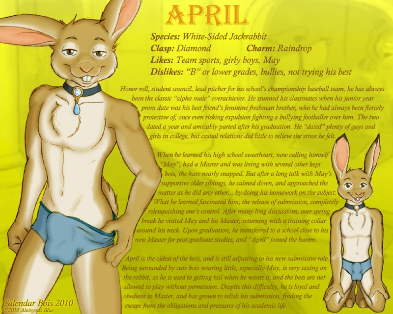 anthro april_(month) balls_outline biped bulge calendar chest_tuft clothed clothing collar crossdressing detailed_bulge femboy fur genital_outline harem_boy kneeling looking_at_viewer male skimpy slave solo teeth text tuft underwear aloisyous_blue calendar_bois hare lagomorph leporid mammal 5:4 english_text story