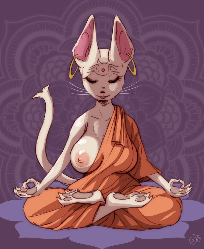 3_toes 5_fingers anthro areola asian_clothing big_breasts biped breasts chinese_clothing claws clothing crossed_legs crosslegged_pose ear_piercing east_asian_clothing eyes_closed feet female fingers hairless huge_breasts jiasha_robe lotus_pose meditation monk nipples one_breast_out open_mouth orange_clothing pawpads piercing robe sitting solo toes whiskers melonleaf domestic_cat felid feline felis hairless_cat mammal sphynx_(cat)