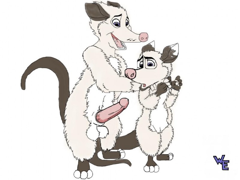 animal_genitalia anthro balls duo erection female fur genitals male o_0 open_mouth penis pussy sheath simple_background tail white_background white_balls young unknown_artist dreamworks over_the_hedge heather_(over_the_hedge) ozzie_(over_the_hedge) american_opossum mammal marsupial virginia_opossum 4:3 daughter_(lore) father_(lore) father_and_child_(lore) father_and_daughter_(lore) incest_(lore) parent_(lore) parent_and_child_(lore) parent_and_daughter_(lore)