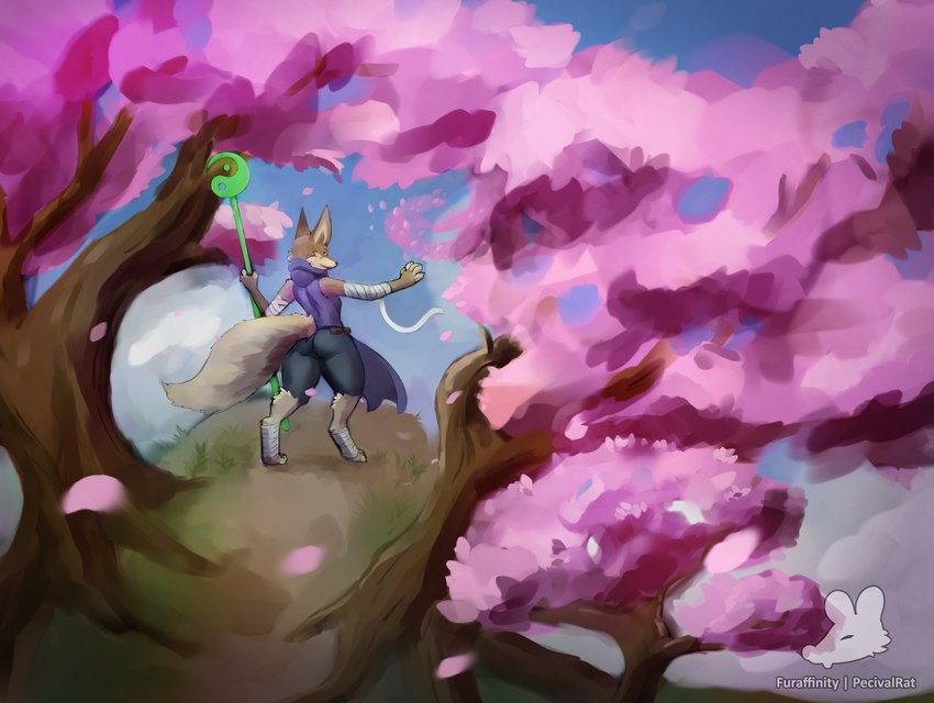 anthro bandage bandaged_arm bandaged_leg biped black_nose blue_sky cheek_tuft cherry_blossom cherry_blossom_tree cherry_tree clothed clothing day detailed_background facial_tuft female flower fruit_tree fully_clothed logo outside plant prunus_(flower) sky snout solo standing tail tree tuft pecivalrat dreamworks kung_fu_panda zhen_(kung_fu_panda) canid canine corsac_fox fox mammal true_fox 2024 artist_logo artist_name digital_media_(artwork) digital_painting_(artwork) hi_res shaded