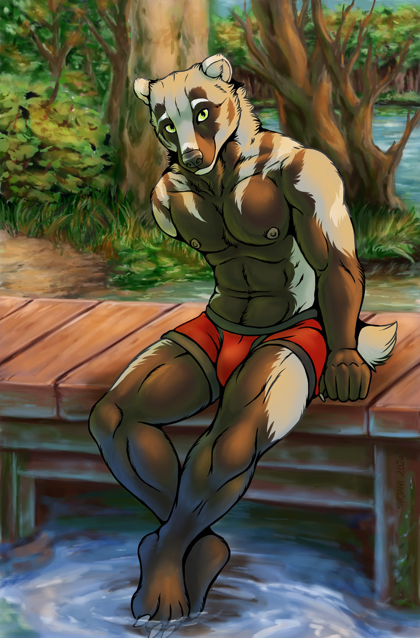 abs anthro athletic athletic_anthro athletic_male barefoot black_body black_fur bulge clothed clothing feet forest fur green_eyes looking_at_viewer male multicolored_body multicolored_fur muscular muscular_anthro muscular_male navel nipples outside partially_submerged pecs plant sitting smile solo topless topless_male tree two_tone_body two_tone_fur underwear water white_body white_fur yellow_eyes marjani holt_clayburn badger mammal mustelid musteline 2020 hi_res