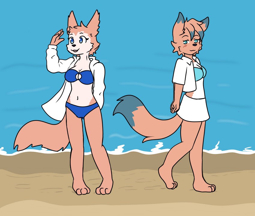 anthro beach bedroom_eyes bikini blue_eyes blush bottomwear cleavage_cutout clothed clothing cutout dipstick_tail duo female fur markings midriff narrowed_eyes navel orange_body orange_fur seaside seductive skirt swimwear tail tail_markings two-piece_swimsuit water fiona_(artist) kaoru_(rushthewolf) shiki_(rushthewolf) canid canine canis domestic_dog husky mammal nordic_sled_dog spitz wolf hi_res