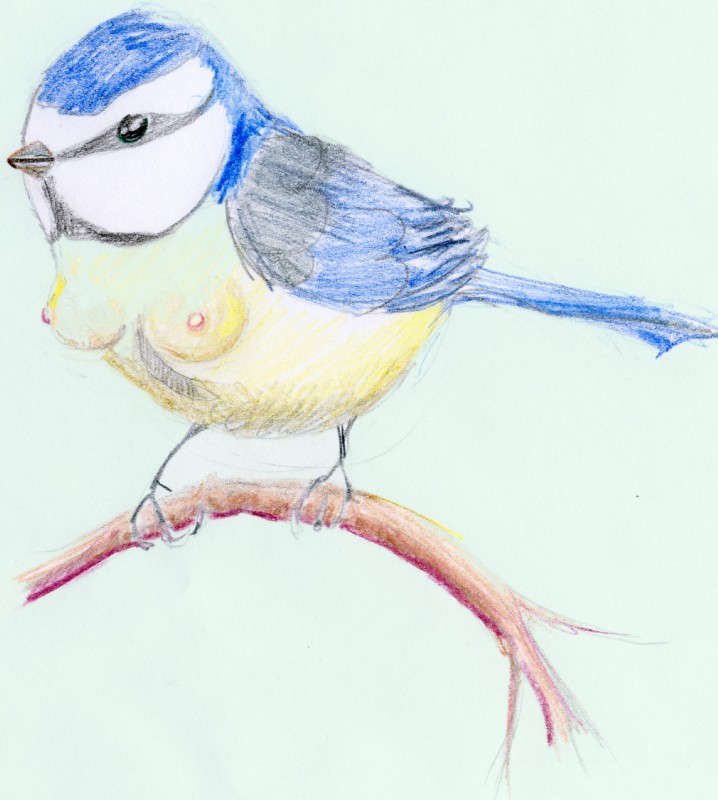 branch breasts busty_feral female feral humor in_tree nipples non-mammal_breasts non-mammal_nipples plant pun small_breasts solo tree what what_has_science_done xiremia avian bird eurasian_blue_tit oscine passerine tit_(bird) hi_res traditional_media_(artwork)