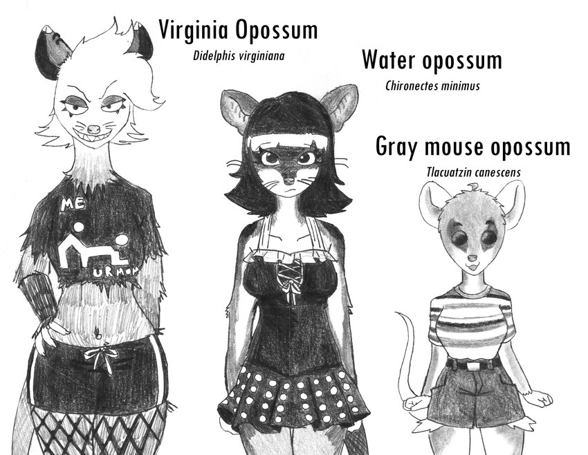 ahoge anthro biped bottomwear breasts clothed clothing collarbone ear_piercing eyelashes eyeliner fangs female female_anthro fishnet_clothing fishnet_legwear group hair legwear makeup navel neck_tuft piercing shirt short_hair short_stack skirt swimwear teeth topwear torn_clothing torn_shirt torn_topwear trio tuft whiskers efradraws american_opossum gray_mouse_opossum mammal marsupial virginia_opossum water_opossum absurd_res graphite_(artwork) hi_res monochrome sketch traditional_media_(artwork)