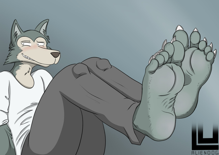 5_toes anthro blush claws clothing embarrassed feet feet_up foot_fetish fur grey_body grey_fur humanoid_feet male pajamas plantigrade simple_background soles solo tan_body tan_face tan_fur toe_claws toes lu123 beastars legoshi_(beastars) canid canine canis mammal wolf absurd_res hi_res