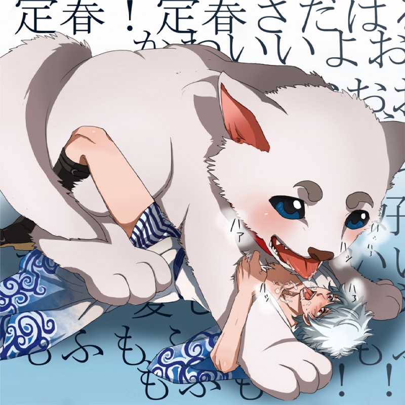 bestiality bodily_fluids drooling duo feral human_on_feral interspecies male male_on_feral saliva size_difference text tongue tongue_out unknown_artist gintama gintoki_sakata sadaharu canid canine canis domestic_dog human mammal 1:1 japanese_text