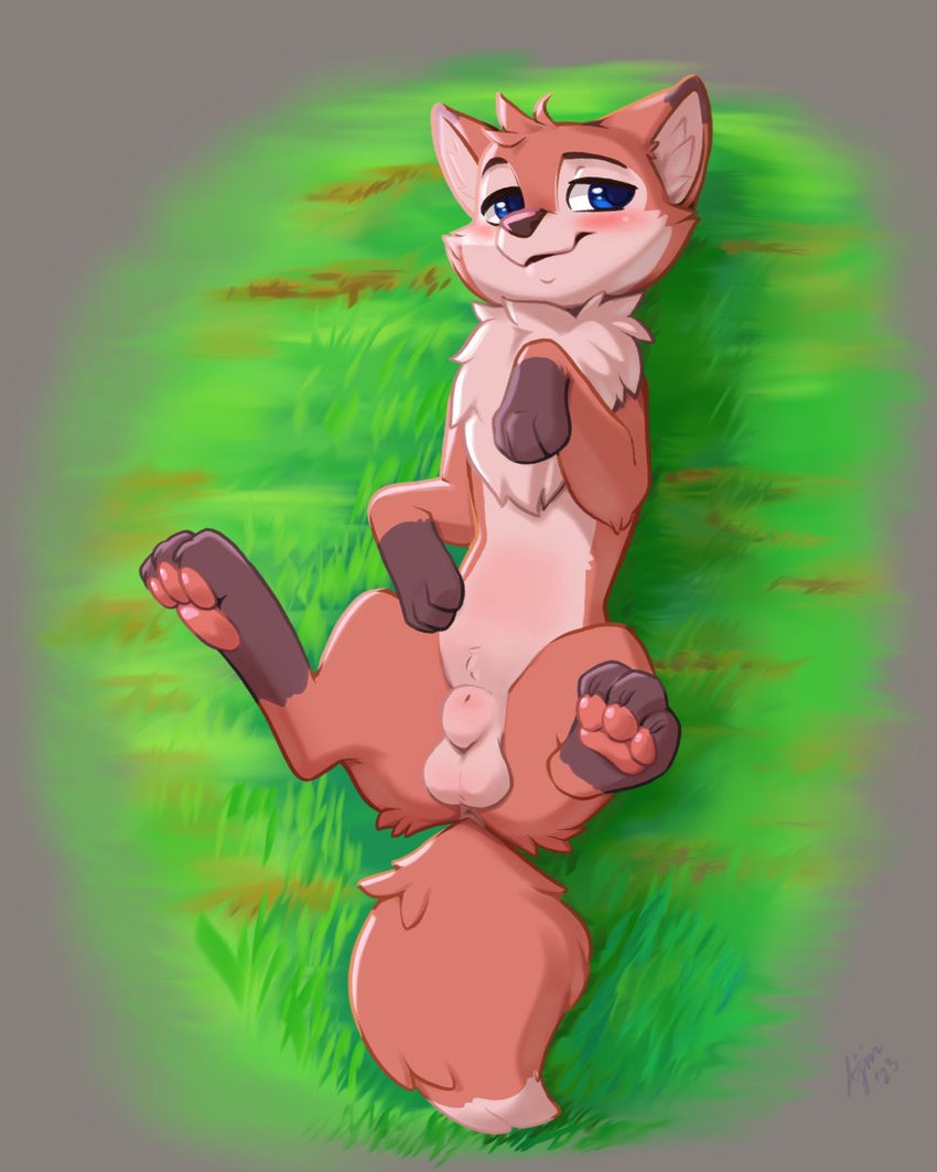 3_toes animal_genitalia blue_eyes blush brown_body brown_fur cheek_tuft chest_tuft claws dipstick_tail facial_tuft feet femboy feral fluffy fluffy_tail fully_sheathed fur genitals inner_ear_fluff lying male markings on_back on_grass pawpads paws pink_pawpads sheath smile solo tail tail_markings toe_claws toes tuft ajin canid canine fox mammal 2023 4:5 hi_res