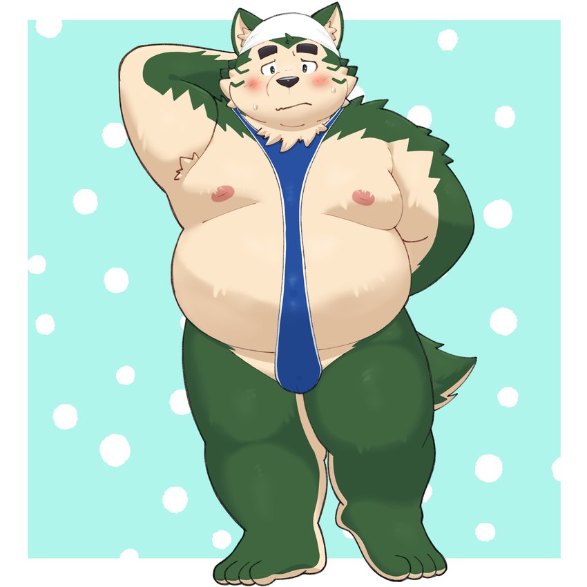 anthro belly blush bulge clothed clothing embarrassed eyebrows fupa fur green_body green_fur kerchief male moobs nipples skimpy solo swimwear thick_eyebrows yaki_atsuage lifewonders live_a_hero mokdai canid canine canis domestic_dog mammal 1:1 hi_res