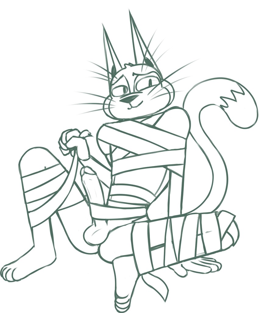 anthro balls bandage erection genitals male nude penis simple_background sitting smile solo white_background wrapped_up redout mighty_magiswords cattus_the_one_blade domestic_cat felid feline felis mammal 2021 digital_drawing_(artwork) digital_media_(artwork) hi_res monochrome