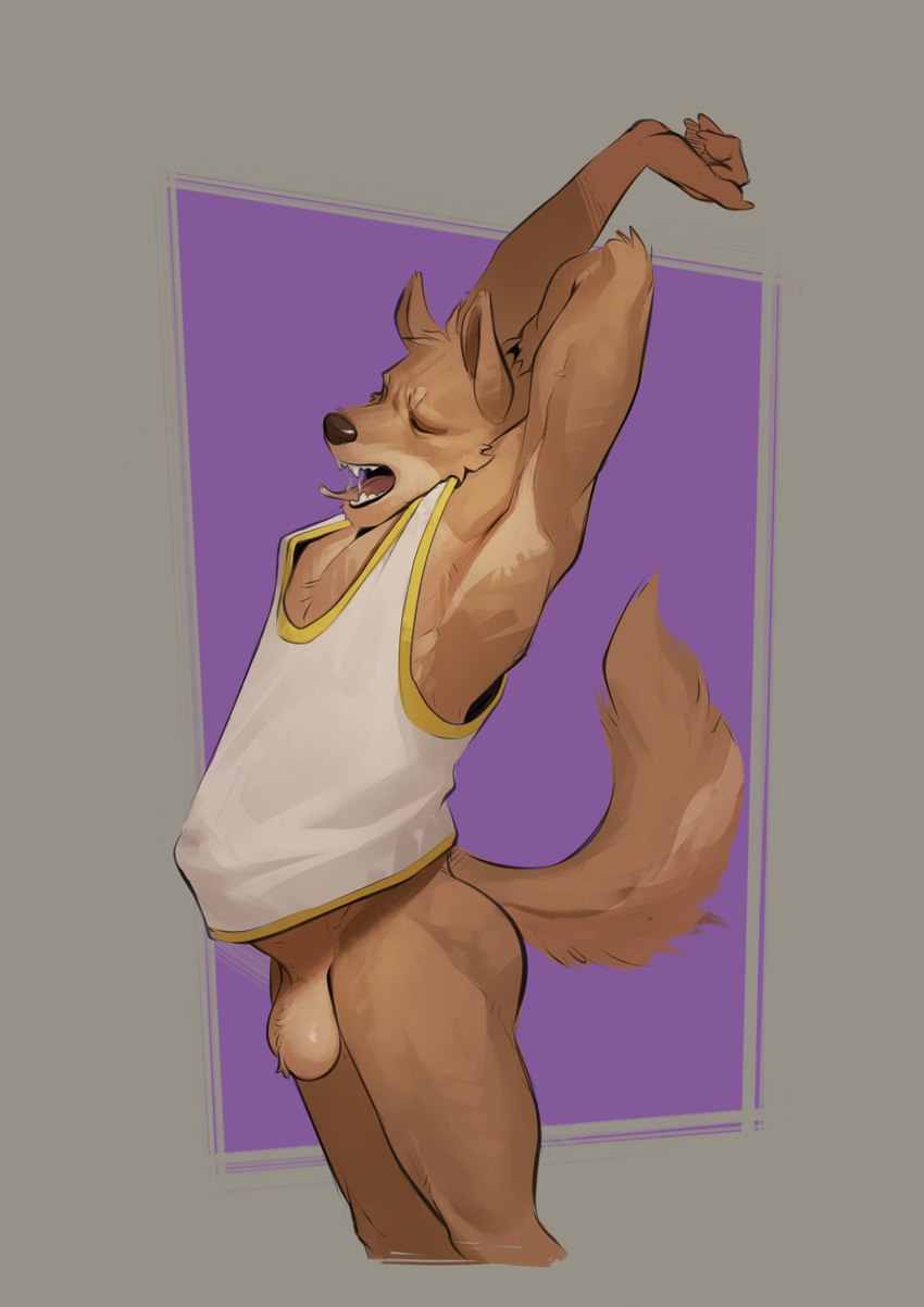 anthro ball_tuft balls bottomless clothed clothing erection genitals humanoid_genitalia male morning_wood open_mouth penile penis shirt shirt_bulge simple_background solo stretching tail tank_top teeth tongue topwear tuft yawn kaynine canid canine mammal absurd_res hi_res