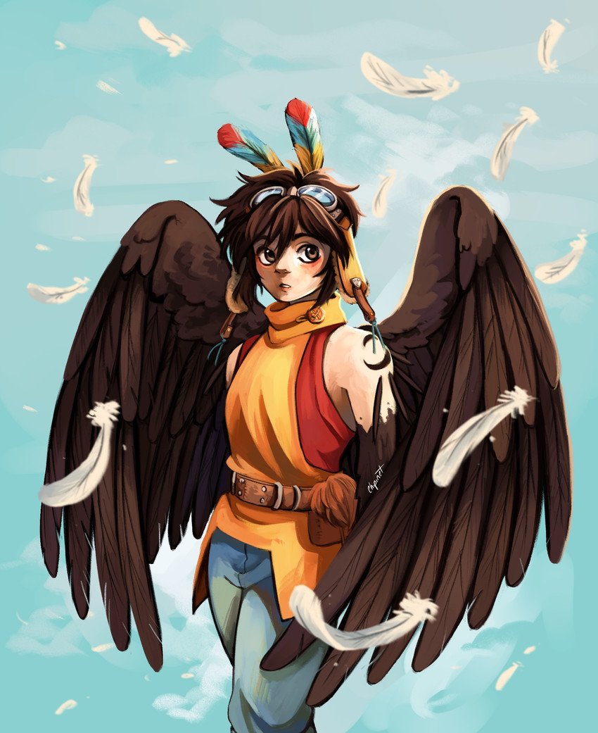 cooro (plus anima) created by chipinet