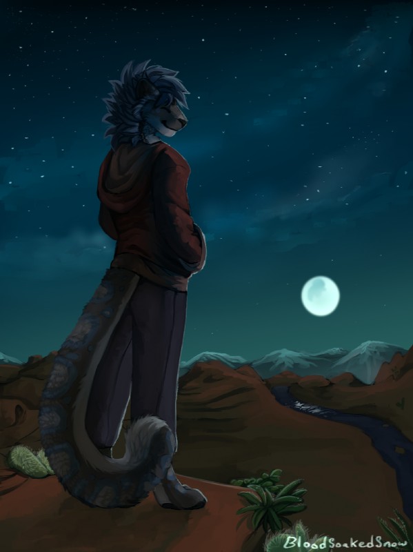 anthro barefoot biped black_nose black_pawpads blue_hair blue_tail bottomwear cactus cheek_tuft clothed clothing cloud countershading detailed_background eyes_closed facial_tuft feet fully_clothed fur grey_body grey_fur grey_tail hair hand_in_pocket hands_in_both_pockets hoodie male moon mountain multicolored_body multicolored_fur multicolored_tail night outside pants pawpads plant pockets river short_hair sky smile solo standing star starry_sky tail topwear tuft two_tone_body two_tone_fur white_body white_fur white_tail bloodsoakedsnow caleo_(bloodsoakedsnow) felid mammal pantherine snow_leopard 2015 hi_res