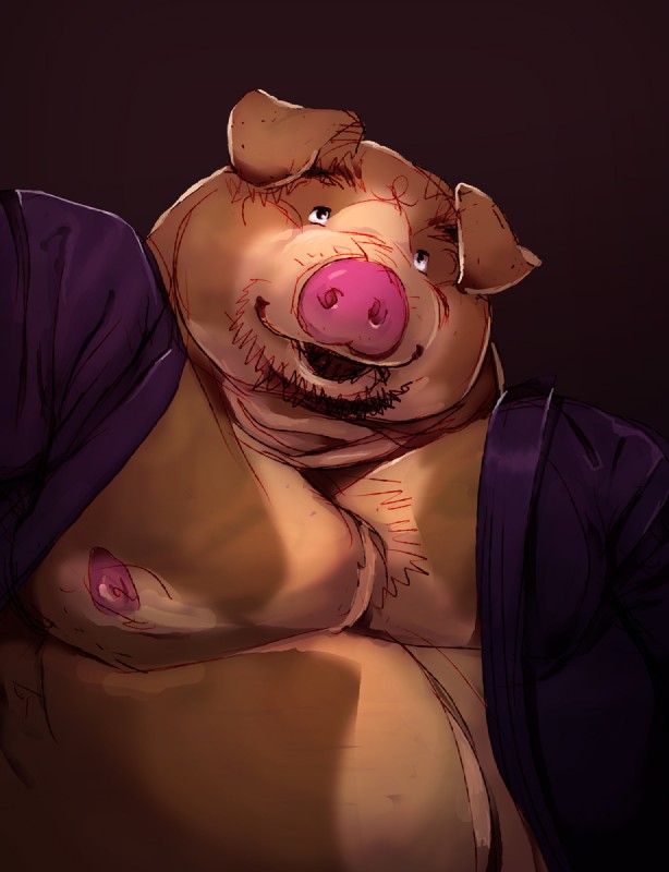 anthro belly clothing male moobs nipples overweight overweight_anthro overweight_male robe solo daich domestic_pig mammal suid suine sus_(pig) 2014 hi_res