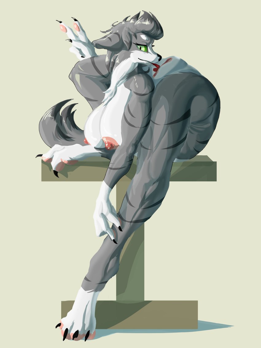 4_toes anthro autocunnilingus backbend feet female flexible fur genitals green_eyes grey_body grey_ears grey_fur grey_tail masturbation nude oral oral_masturbation pussy solo tail toes vaginal vaginal_masturbation gyy canid mammal 3:4 hi_res