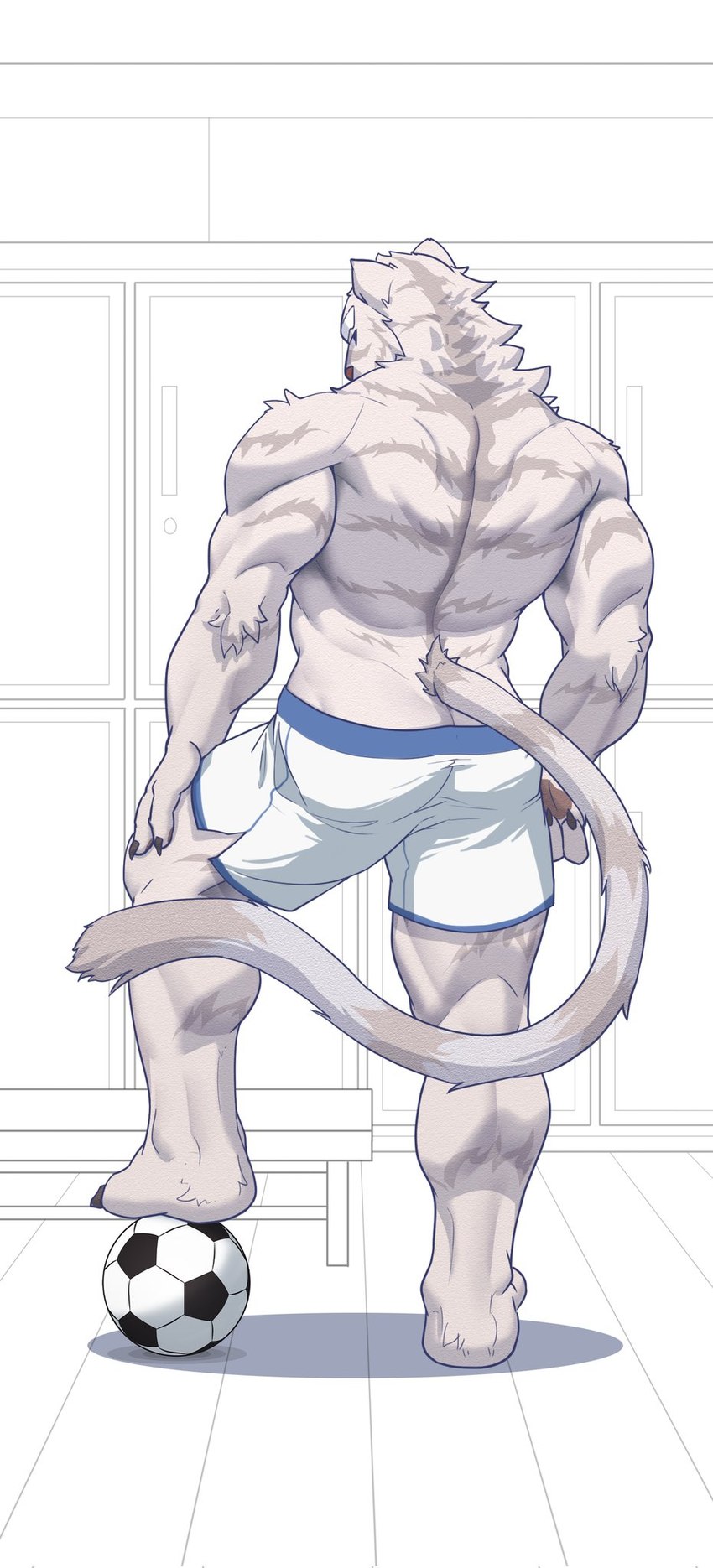 anthro back_muscles ball biped black_claws blue_eyes bottomwear brown_nose claws clothing eyebrows fur hand_on_leg hand_on_thigh inside locker_room looking_at_viewer looking_back male muscular muscular_anthro muscular_calves muscular_legs muscular_male shorts soccer_ball solo standing tail triceps tuft white_body white_bottomwear white_clothing white_eyes white_fur white_shorts white_tail yuezai_1 felid feline mammal hi_res