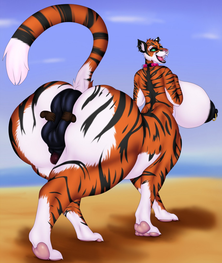 anus beach big_anus big_breasts breasts butt collar detailed_background ear_piercing facial_piercing fangs hand_on_butt herm huge_anus huge_breasts hyper hyper_anus intersex looking_back nose_piercing piercing seaside solo teeth nightmare-arts krinn felid mammal pantherine taur tiger hi_res