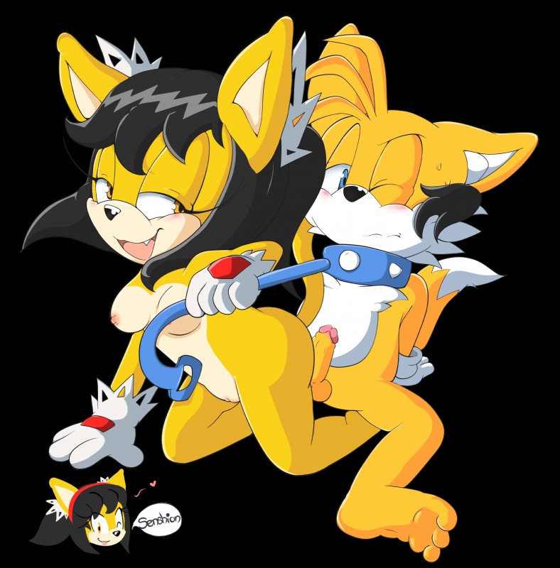 honey the cat and miles prower (sonic the hedgehog (series) and etc) created by senshion