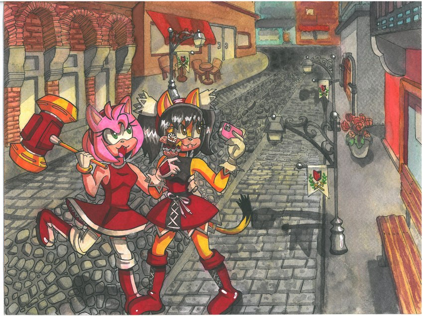 anthro city city_background duo female outside autenticovadito sega sonic_the_fighters sonic_the_hedgehog_(series) sonic_unleashed amy_rose honey_the_cat eulipotyphlan felid feline hedgehog humanoid mammal hi_res marker_(artwork) painting_(artwork) traditional_media_(artwork) watercolor_(artwork)