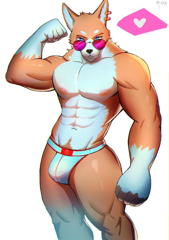 abs anthro biceps black_nose bulge clothed clothing eyewear flexing fur jockstrap male multicolored_body multicolored_fur muscular muscular_anthro muscular_male nipples pecs solo sunglasses tan_body tan_fur topless underwear dkqksms1004 canid canine canis domestic_dog husky mammal nordic_sled_dog spitz 2018 hi_res