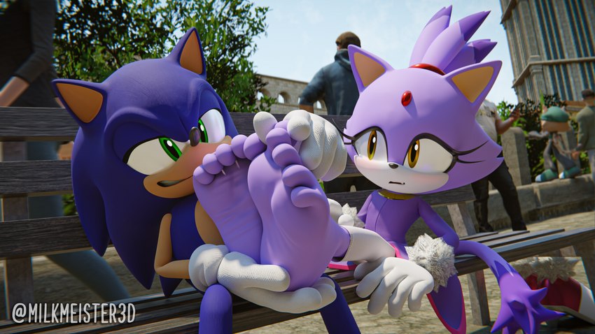 blaze the cat and sonic the hedgehog (sonic the hedgehog (series) and etc) created by milkmeister3d