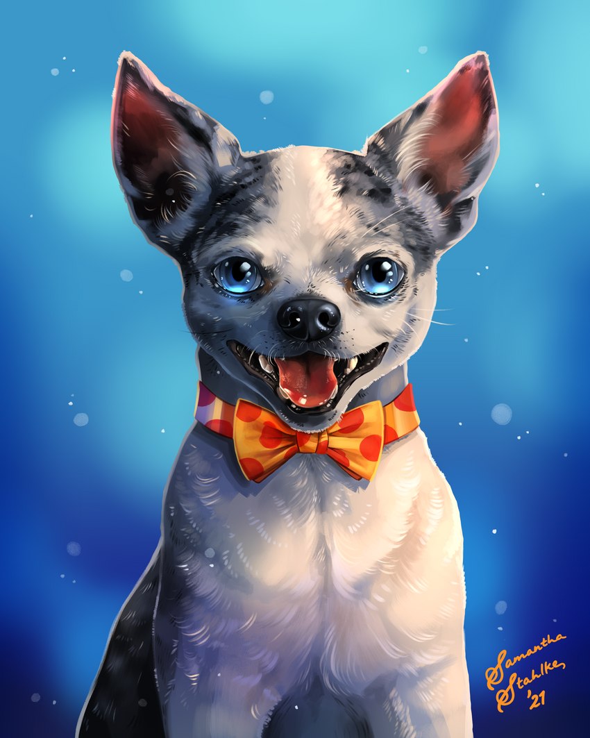 ambiguous_gender black_lips blue_eyes bow_tie feral fur lips looking_at_viewer open_mouth solo tongue tongue_out white_body white_fur charlatan-of-doom canid canine canis chihuahua domestic_dog mammal toy_dog 4:5 absurd_res hi_res