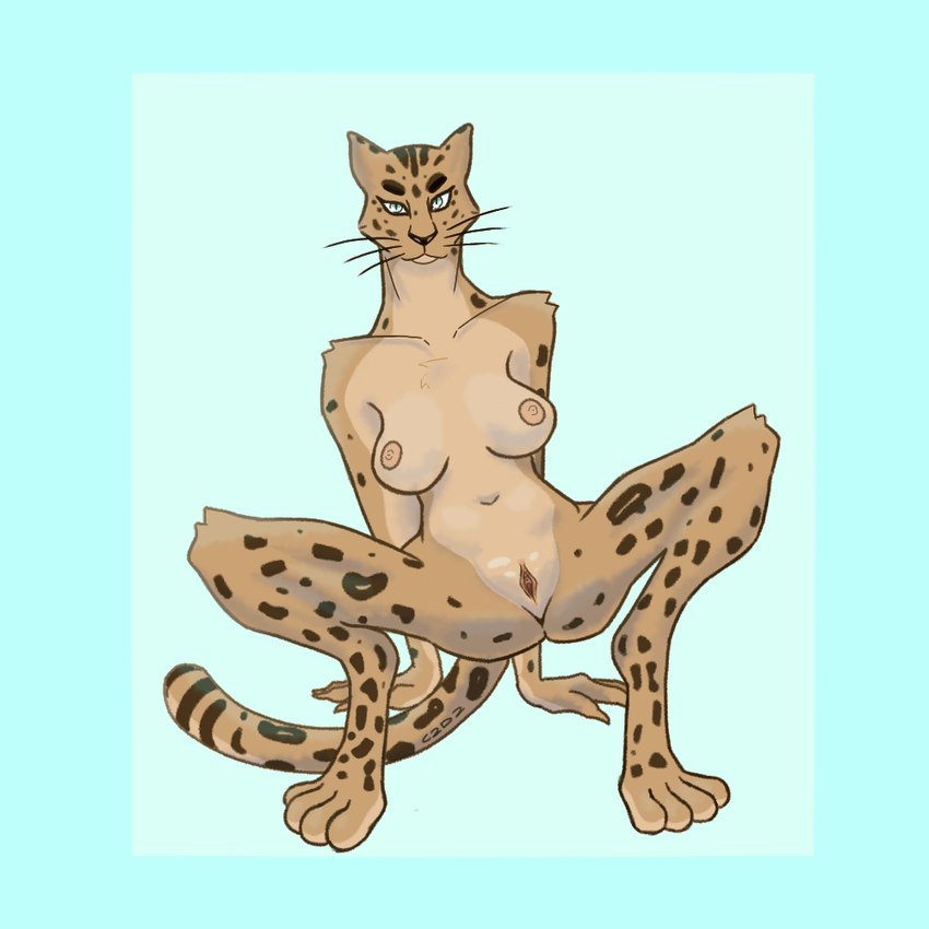 4_toes all_fours anthro blue_border border breasts feet female female_urethra looking_at_viewer muscular muscular_female presenting simple_background solo spots spread_legs spreading tail toes tuft urethra whiskers c2d2 eve_speed felid leopard mammal pantherine 1:1 colored shaded