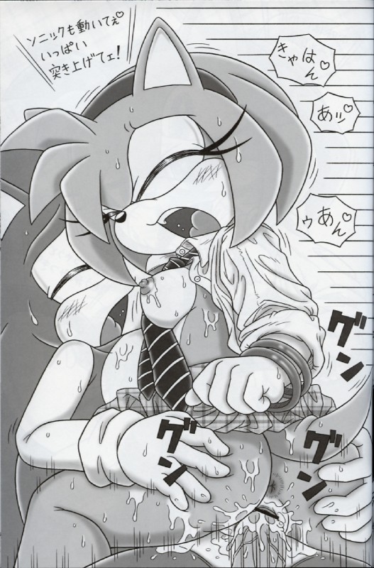 amy rose and sonic the hedgehog (sonic the hedgehog (series) and etc) created by karate akabon