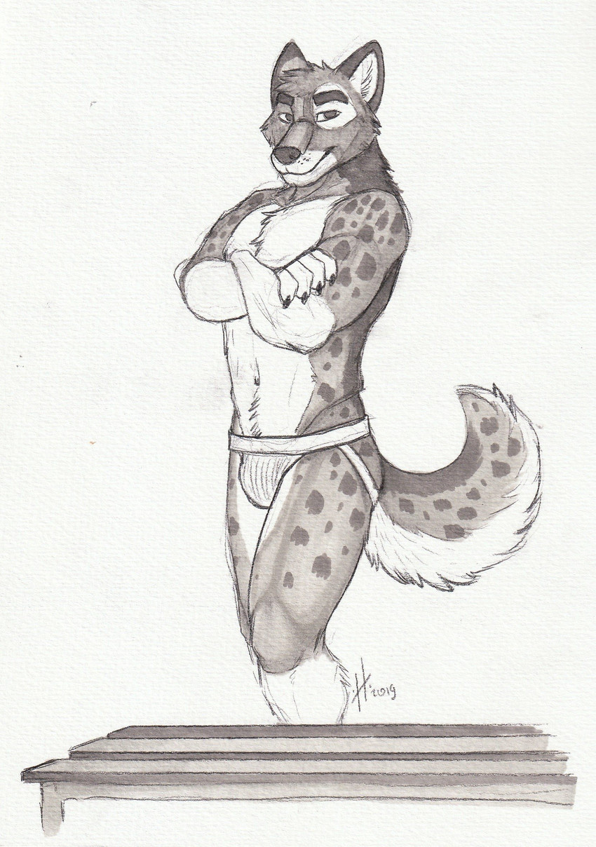 anthro athletic athletic_anthro athletic_male clothed clothing gloves_(marking) head_tuft jockstrap leg_markings looking_at_viewer male male_anthro markings mouth_closed narrowed_eyes simple_background socks_(marking) solo spots spotted_arms spotted_legs spotted_markings spotted_tail standing tail tail_markings topless tuft underwear hufnaar canid canine mammal 2019 dated hi_res monochrome sketch