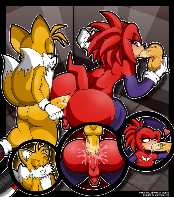 knuckles the echidna and miles prower (sonic the hedgehog (series) and etc) created by dhx2kartz