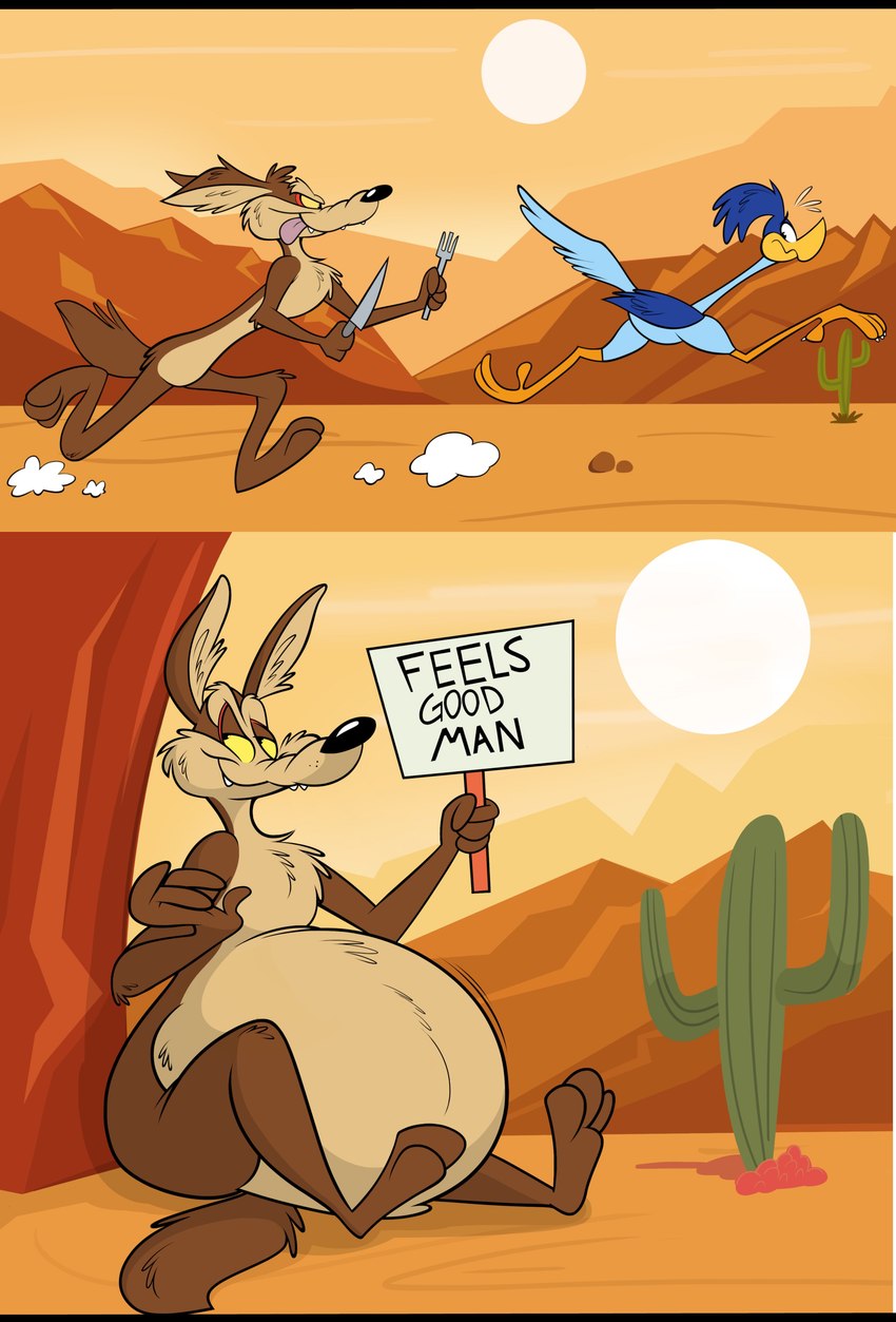 road runner and wile e. coyote (warner brothers and etc) created by remmyfox