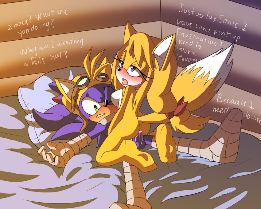 sonic the hedgehog and zooey the fox (sonic the hedgehog (series) and etc) created by angelofhapiness