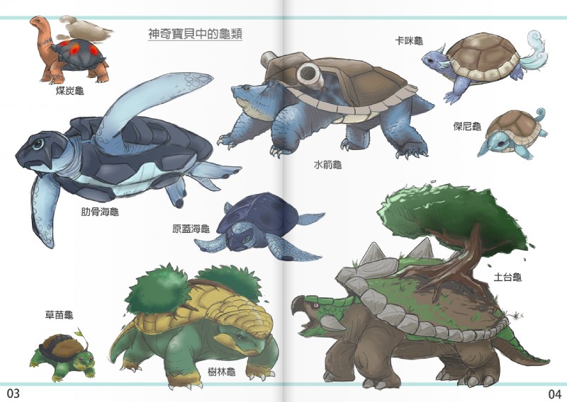 ambiguous_gender chart evolution evolution_chart evolutionary_family feathered_wings feathers feral group head_wings level_difference realistic simple_background size_difference unusual_wing_placement white_background wings yajolene nintendo pokemon blastoise carracosta fossil_pokemon generation_1_pokemon generation_3_pokemon generation_4_pokemon generation_5_pokemon grotle pokemon_(species) squirtle tirtouga torkoal torterra turtwig wartortle biological_illustration technical_illustration zoological_illustration