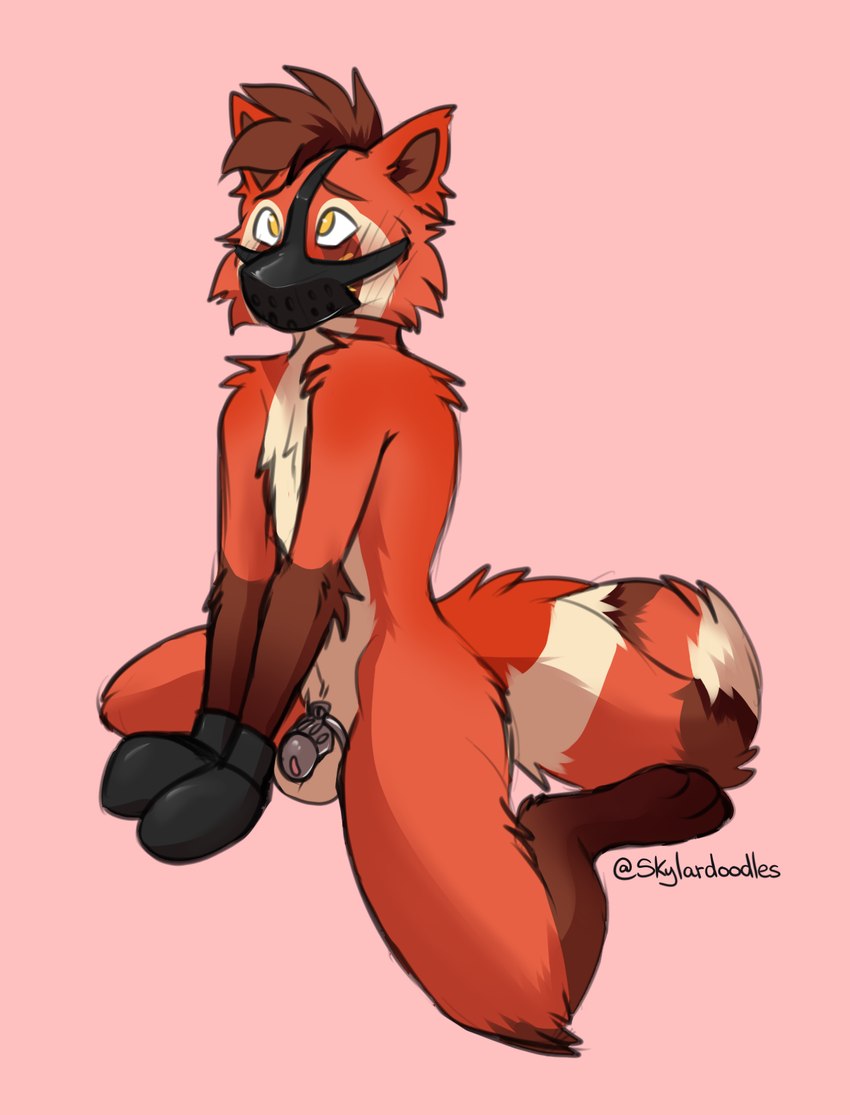 anthro chastity_cage chastity_device embarrassed exposed genitals humiliation male mitts muzzle_(object) muzzled nude_male penis phallic_chastity_device solo skylardoodles ironthepandafox ailurid mammal red_panda hi_res