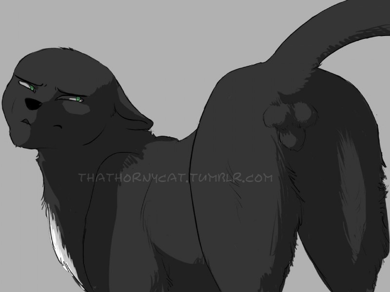 ravenpaw (warriors (book series)) created by thathornycat