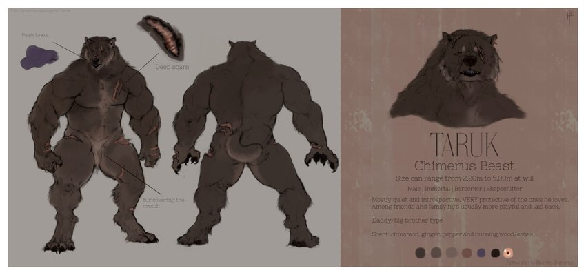 anthro border brown_body brown_fur butt claws fur information_board male muscular muscular_anthro muscular_arms muscular_legs muscular_male muscular_thighs muscular_top pawpads paws pecs scar simple_background solo tail text toe_claws white_border hierro_(artist) bear mammal absurd_res english_text hi_res model_sheet